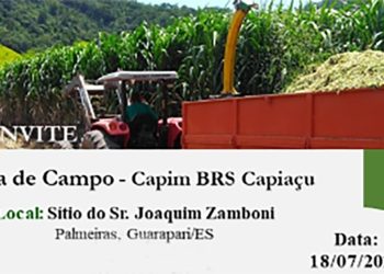 Guarapari: Prefeitura realiza “Dia de Campo” com palestra sobre silagem de Capim Capiaçu