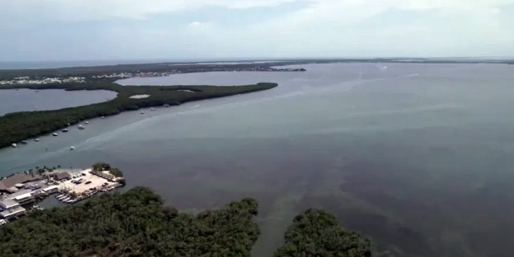 Clima: Temperaturas do mar na Flórida atingem níveis das banheiras de hidromassagem