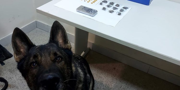 Guarapari: Motocicleta recuperada, drogas apreendidas e dois indivíduos detidos na área do 10° Batalhão