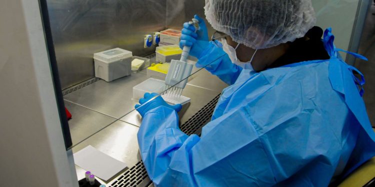 Saúde: Novo remédio para hepatite C poderá baixar custo do tratamento no SUS