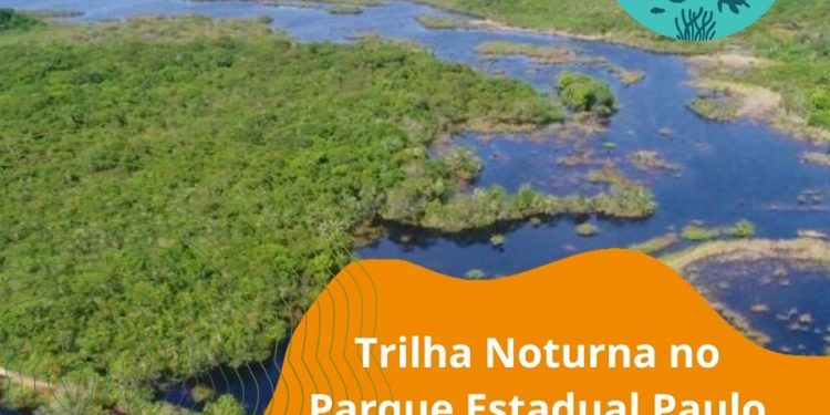 Turismo: ‘Um Dia no parque’ com trilha noturna no Parque Estadual Paulo César Vinha