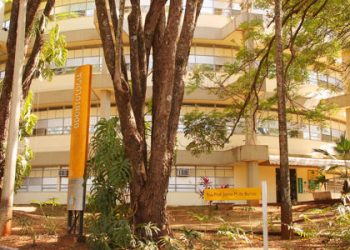 Brasil: USP tem 2 mil vagas abertas em dois cursos gratuitos