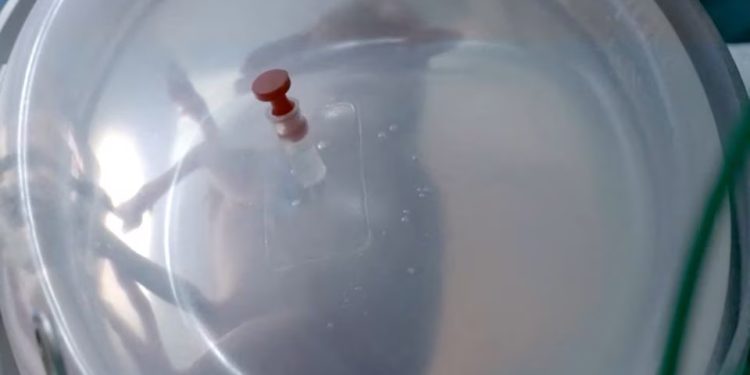 Mundo: Pesquisadores tentam ‘enganar a natureza’ com útero artificial