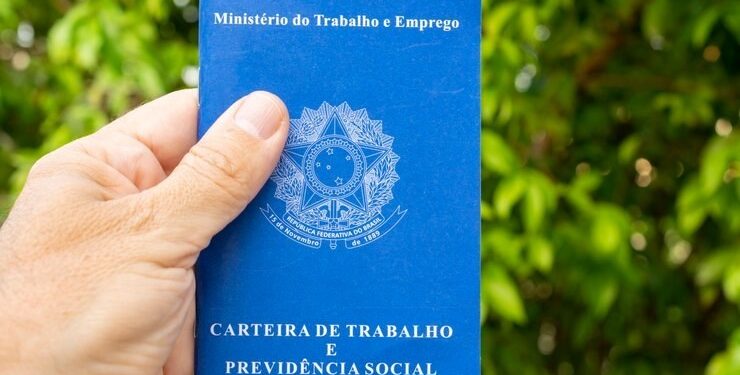 Estado: Agropecuária capixaba lidera geração de empregos no mês de maio