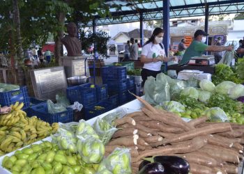Anchieta: Comemorações do Dia da Agricultura Familiar