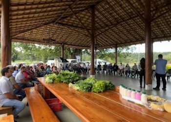 Anchieta: Parceria entre Prefeitura e Samarco promove compra direta da agricultura familiar
