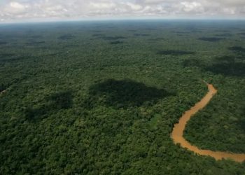 Mundo: Equador faz votação histórica sobre extração de petróleo na Amazônia