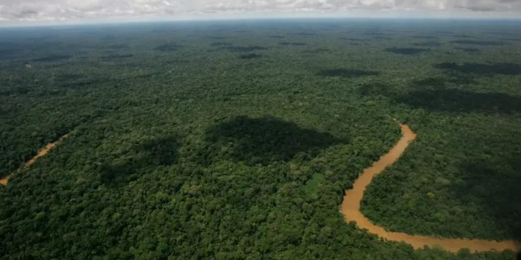 Mundo: Equador faz votação histórica sobre extração de petróleo na Amazônia