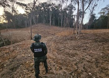 Guarapari: BPMA identifica área desmatada em Antinhas