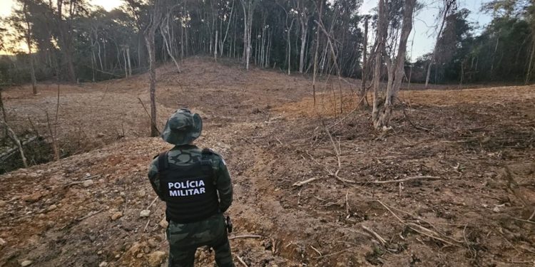 Guarapari: BPMA identifica área desmatada em Antinhas