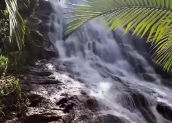 Alfredo Chaves: Conheça a Cachoeira Piripitinga