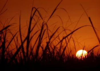 Clima: Irã paralisado por causa de ‘calor sem precedentes’