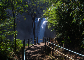 Turismo: Forbes aponta Brasil como melhor país do mundo para ecoturismo