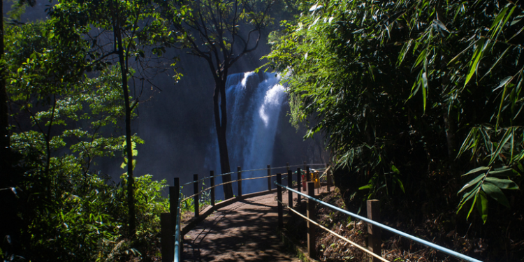 Turismo: Forbes aponta Brasil como melhor país do mundo para ecoturismo