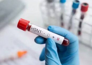 Saúde: Governo de SP decreta estado de emergência por gripe aviária
