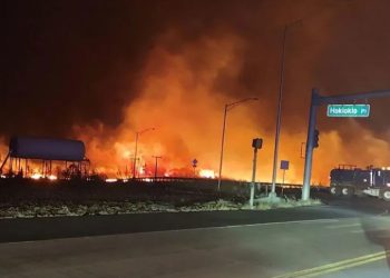 Mundo: Número de mortos em incêndios florestais em Maui sobe para 99
