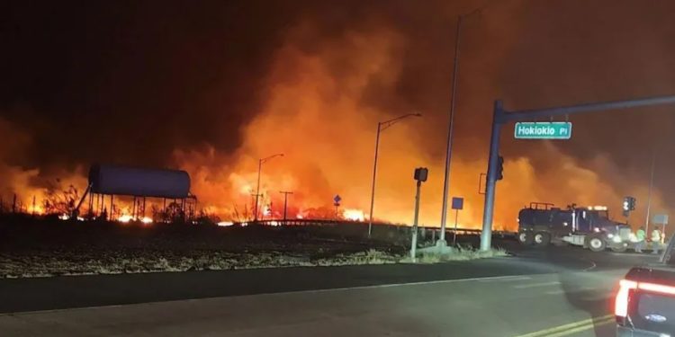 Mundo: Número de mortos em incêndios florestais em Maui sobe para 99