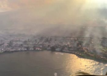 Mundo: Número de mortos em incêndios florestais no Havaí deve aumentar