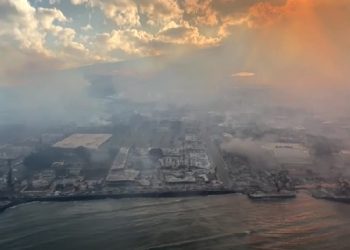 Mundo: Incêndios florestais deixam 36 mortos no Havaí