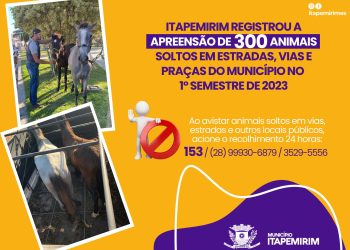 Itapemirim: Quase 300 animais soltos foram apreendidos este ano no município