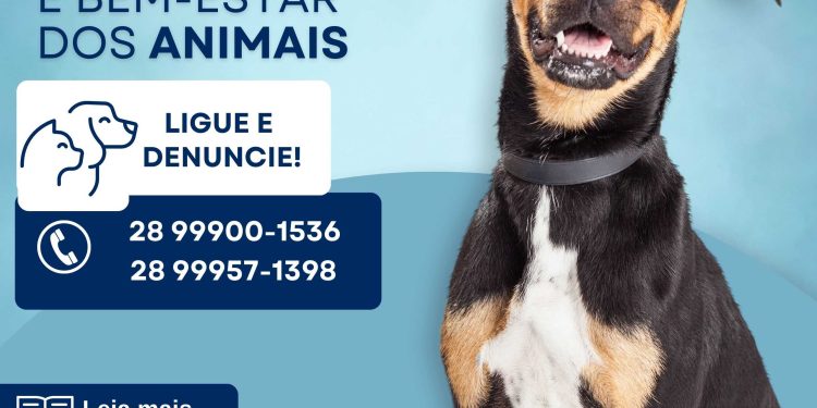 Itapemirim: Prefeito sanciona Lei de Proteção Animal