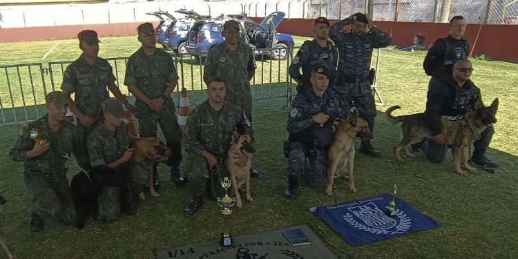 Marataízes: GMC realiza campeonato de cães de detecção