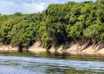 Sustentabilidade: Consumo de recursos naturais cresce três vezes mais rápido do que população