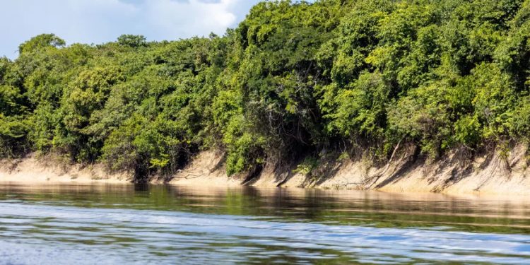Sustentabilidade: Consumo de recursos naturais cresce três vezes mais rápido do que população