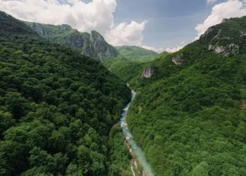 Mundo: Cientistas lutam para salvar o “coração azul” da Europa