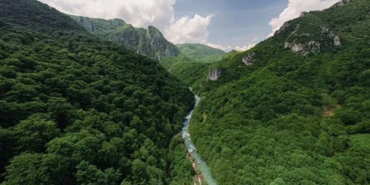 Mundo: Cientistas lutam para salvar o “coração azul” da Europa