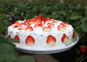 Turismo: Festa do Morango de Pedra Azul terá mais de 30 mil fatias de torta