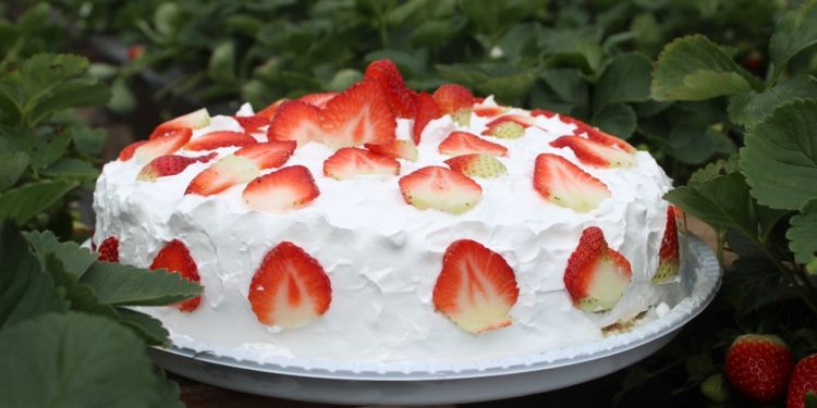 Turismo: Festa do Morango de Pedra Azul terá mais de 30 mil fatias de torta