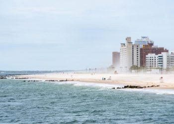 Mundo: Nova York registra 1º ataque de tubarão em mais de 60 anos