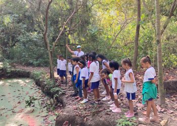 Vitória: Estudantes fazem trilha no Parque Mulembá e aprendem sobre Mata Atlântica