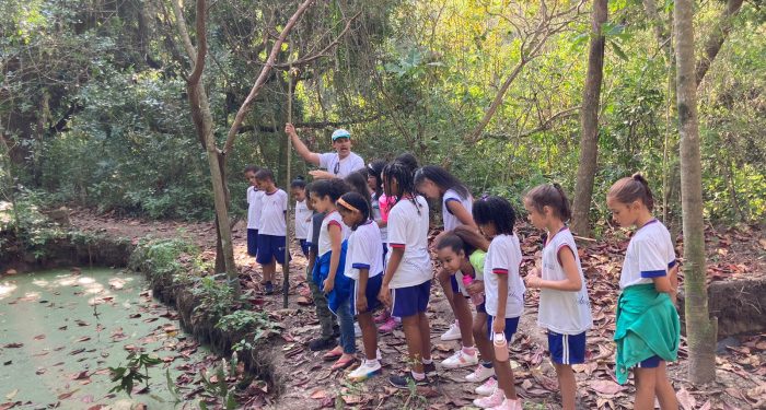 Vitória: Estudantes fazem trilha no Parque Mulembá e aprendem sobre Mata Atlântica