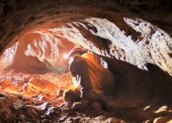 Brasil: Vale recorre de decisão que protege antigo lar de preguiças-gigantes