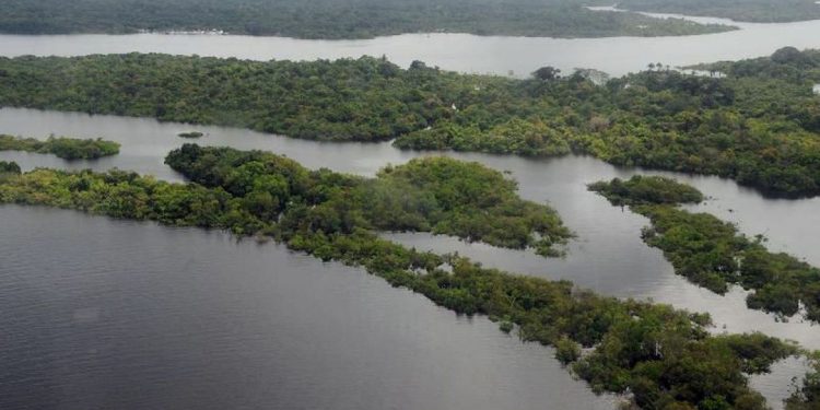 Clima: Primeira emissão de títulos verdes deve superar US$ 1 bilhão