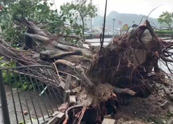 Ásia: Tufões causam estrago e deixam ao menos 75 feridos