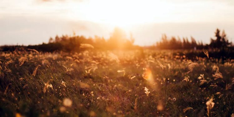 Brasil: O que é o equinócio de primavera que acontece neste sábado (23)