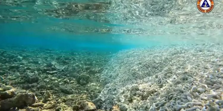 Meio Ambiente: Filipinas condenam ‘barreira flutuante’ chinesa no Mar do Sul da China