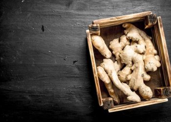 Estado: Exportações do agronegócio capixaba alcançam US$ 1,2 bilhão nos oito primeiros meses do ano