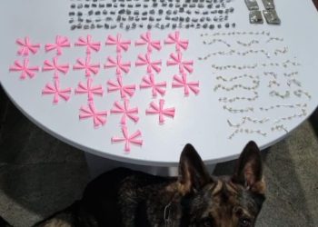 Guarapari: Drogas são apreendidas em Muquiçaba e Perocão