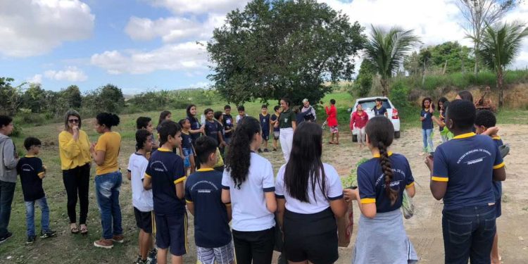 Itapemirim: Alunos do CEAG fazem plantio no projeto Horta Escolar