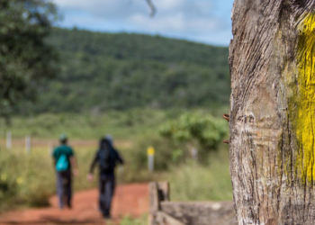 Ecoturismo: A importância da Rede Trilhas para o turismo do Brasil
