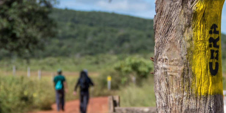 Ecoturismo: A importância da Rede Trilhas para o turismo do Brasil