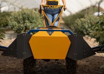 Mundo: Agricultores recorrem à tecnologia enquanto as abelhas lutam para polinizar