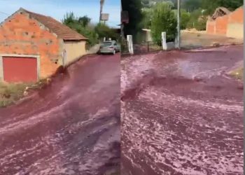 Mundo: Cidade portuguesa tem ruas alagadas de vinho após rompimento em depósito