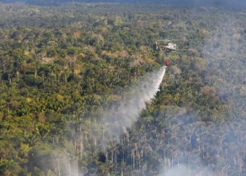 Queimadas: Amazonas registra segundo pior setembro desde 1998