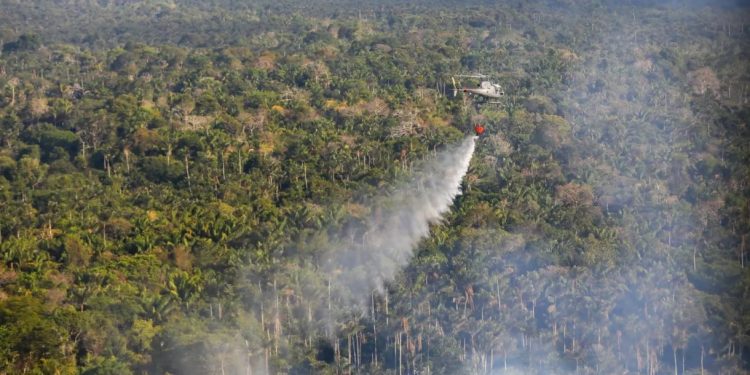 Queimadas: Amazonas registra segundo pior setembro desde 1998