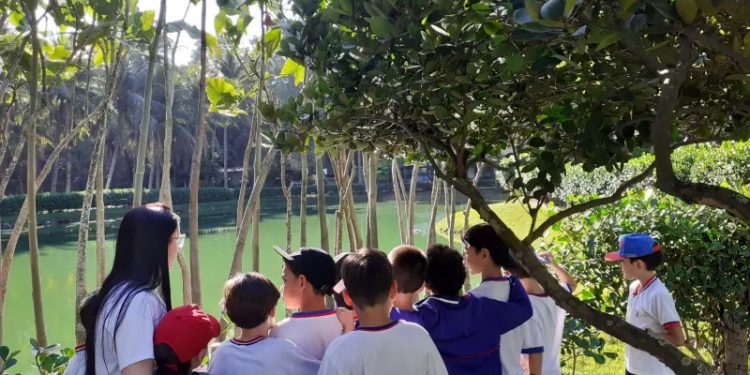 Vitória: Estudantes preparam jardim para abelhas